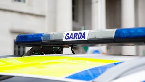 Two teens arrested after car driven wrong way on M50
