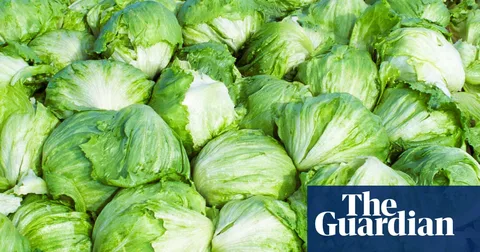 US officials declare multi-state cyclospora outbreak over