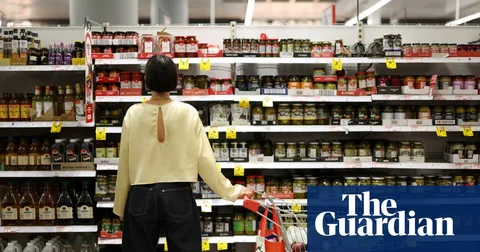 Tony Burke rejects farmers’ claims that immigration changes will increase food prices