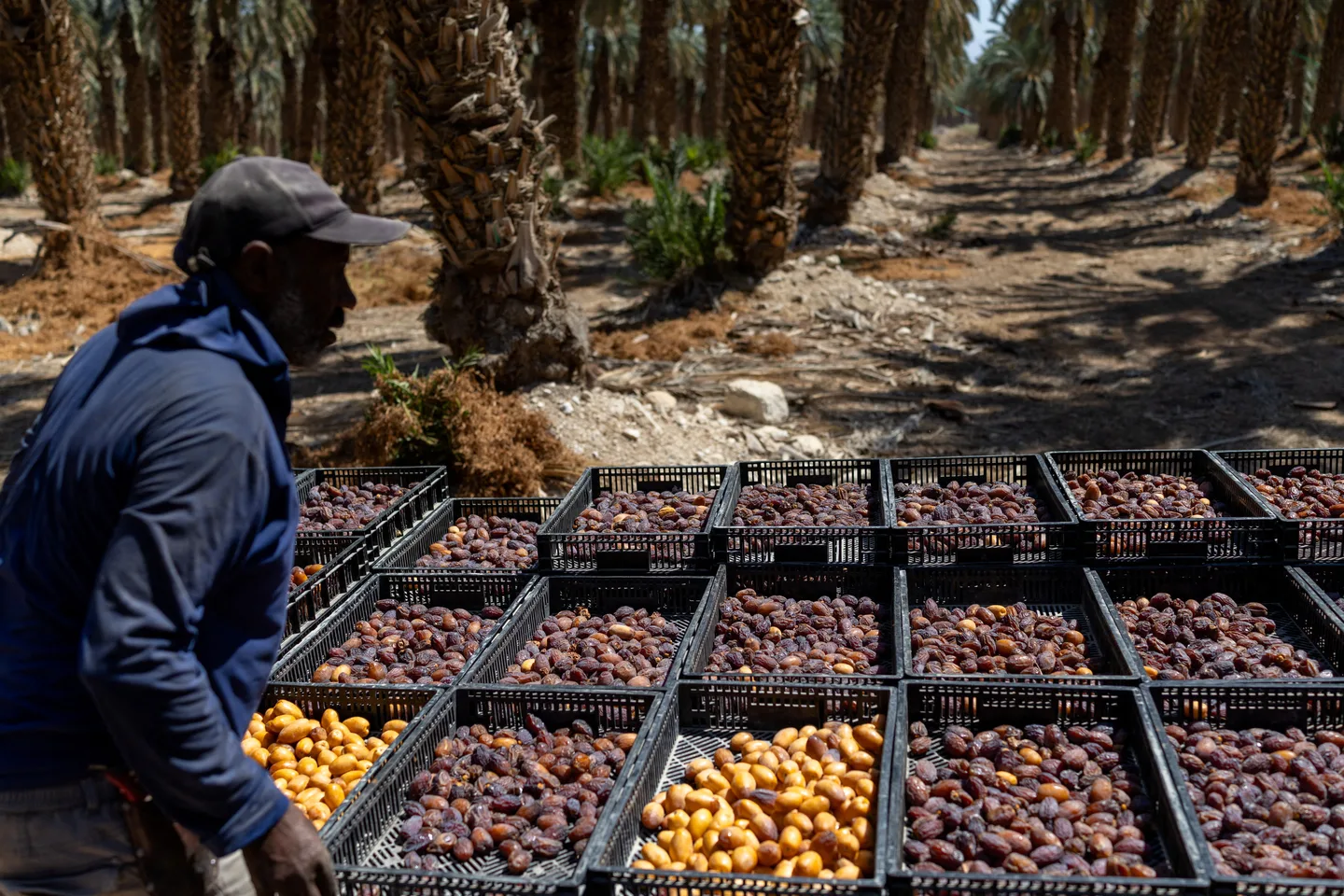 Eight countries welcome UK decision to ban imports from West Bank settlements