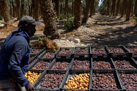 Eight countries welcome UK decision to ban imports from West Bank settlements