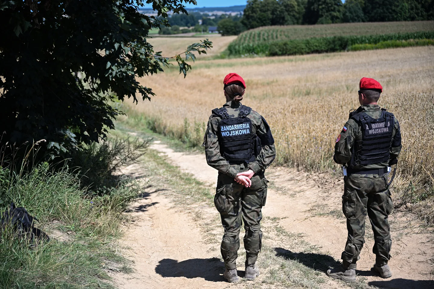 Russia hits truck near Polish border in latest strike near NATO