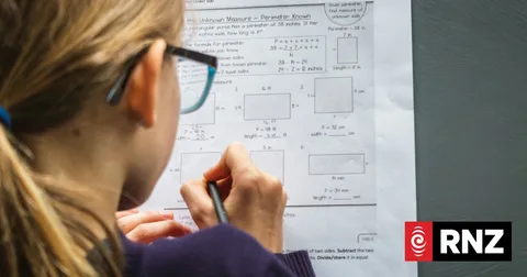 NZ science and maths students turn around 20 years of decline in international tests