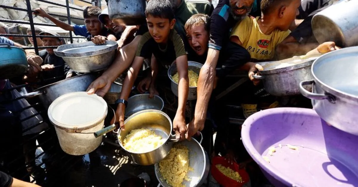 Ex-UN director who protested Gaza famine challenges his dismissal